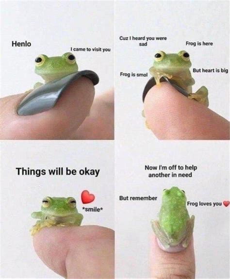 cute frog memes|wholesome frog memes.